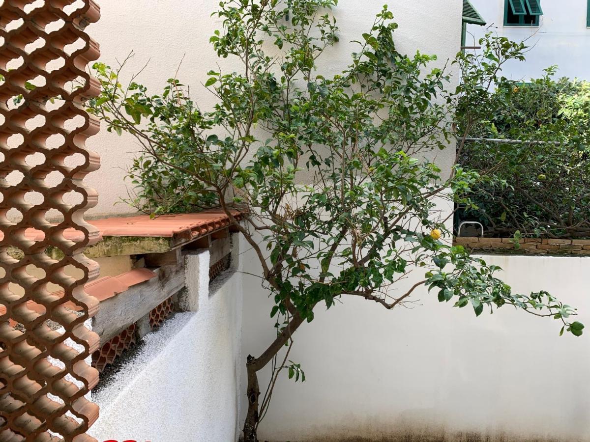Pivarada 50 Alghero Exteriér fotografie